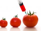 GMO an toàn - Giải pháp công nghệ sinh học mới