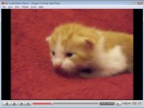YouTube Video Player 1.2.9- donwload và xem Flash trên desktop