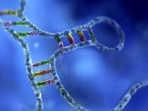 Axit microRNA công nghệ sinh học hạn chế ung thư lây lan