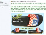 Nở rộ dịch vụ ăn theo EURO 2012