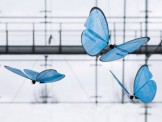 Robot bướm - Phỏng theo mô hình máy bay cỡ nhỏ