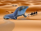 Xây dựng hệ thống 'Sunglacier' tạo ra băng trong điều kiện ở sa mạc