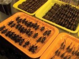 Thử can đảm tại phố côn trùng nướng ở Trung Quốc