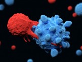 Trung Quốc: Kỹ thuật lập trình tế bào gốc giúp tấn công và tiêu diệt ung thư