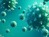 Đã phát minh ra "chiếc rọ nano" có thể bắt và xác định chủng virus chỉ trong vài phút