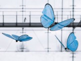 Robot bướm - Phỏng theo mô hình máy bay cỡ nhỏ