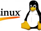 Nhiều 'ông lớn' công nghệ tham gia phát triển Linux